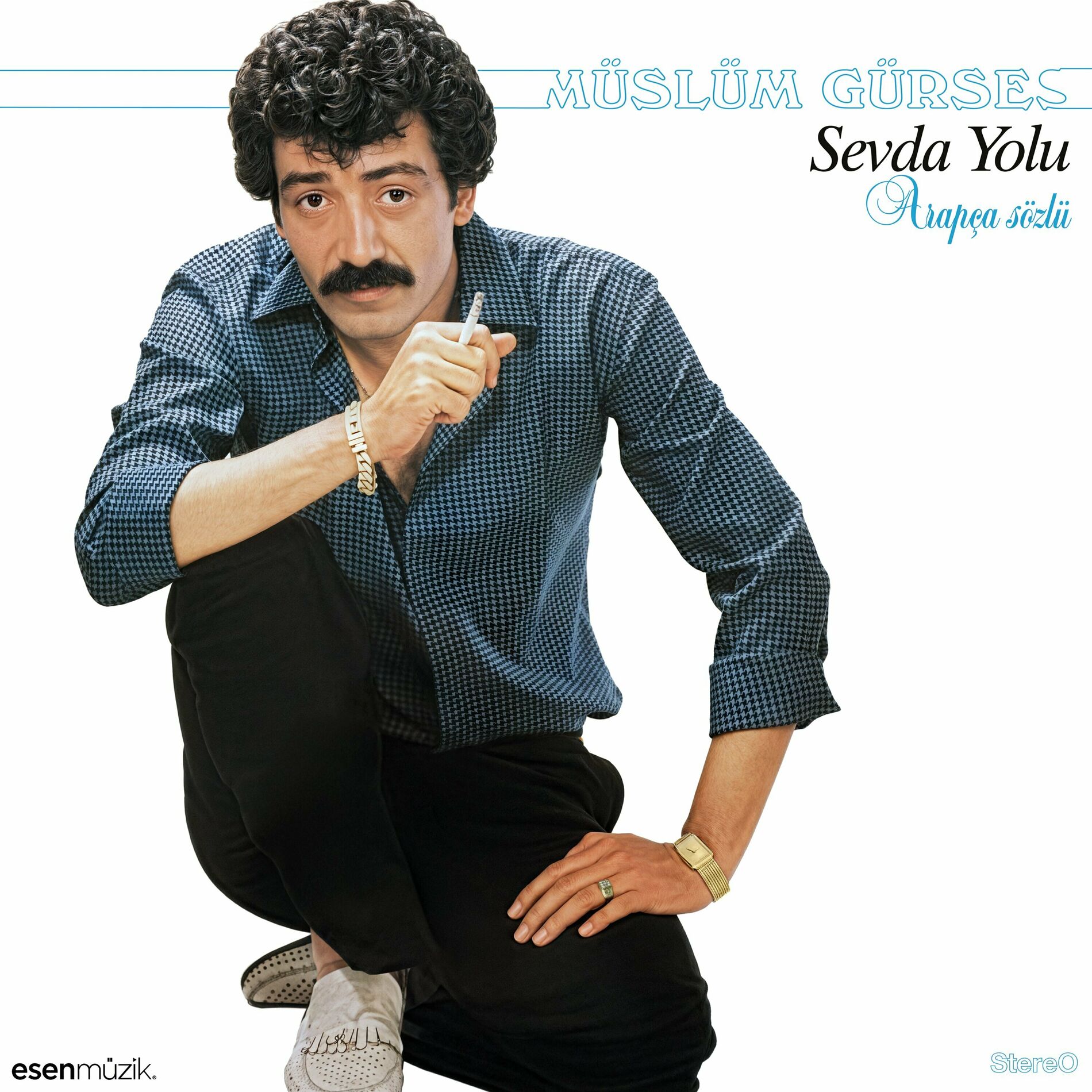 Album cover of Sevda Yolu (LP Mastered)