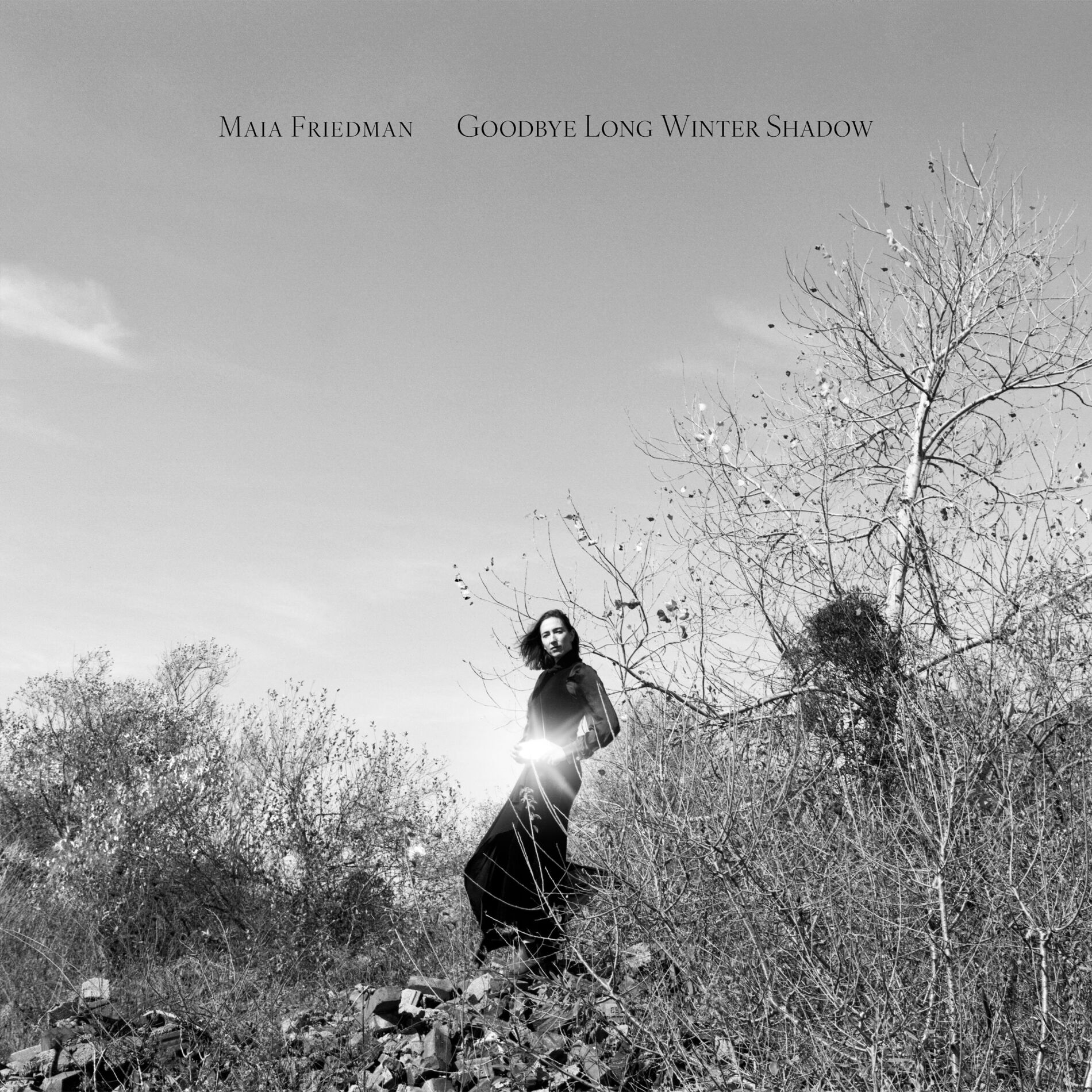 Album cover of New Flowers