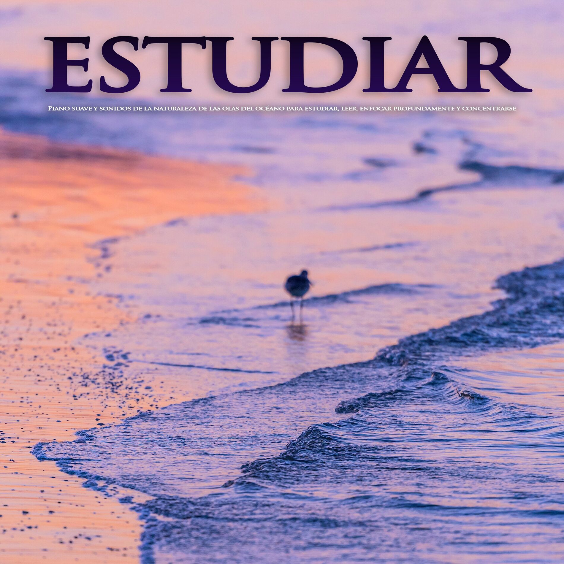 Album cover of Estudiar: Piano suave y sonidos de la naturaleza de las olas del océano para estudiar, leer, enfocar profundamente y concentrarse