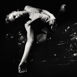 Cover of On the Floor
