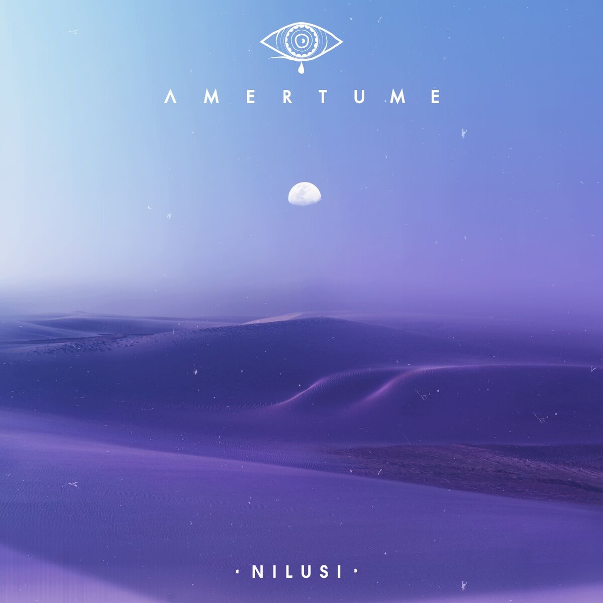 Album cover of Amertume