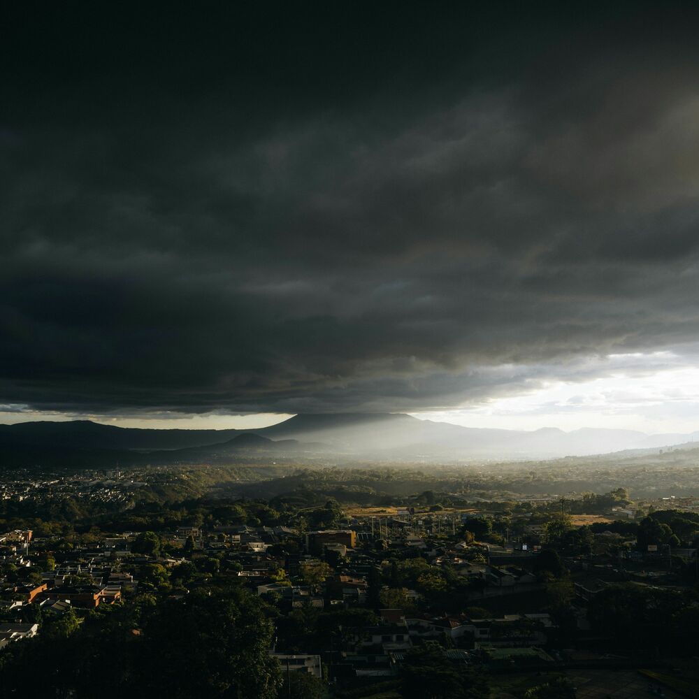 Picture of Dark Is The Night