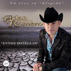 Cover of Entre Botellas