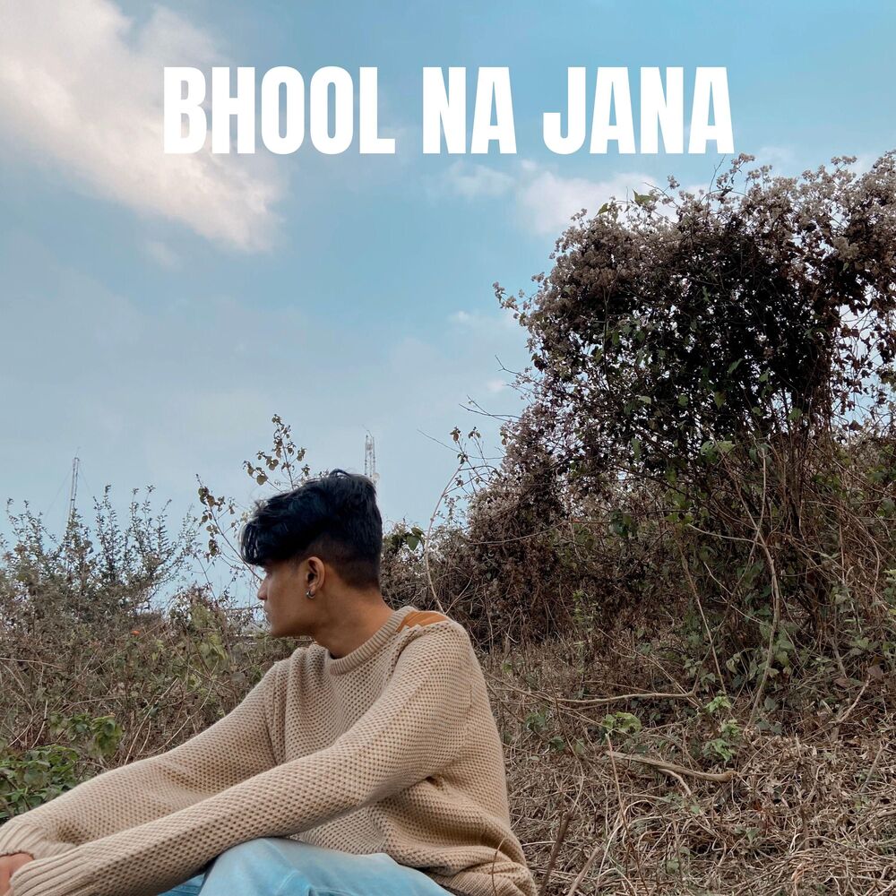 Picture of Bhool Na Jana