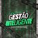 Gestão Inteligente