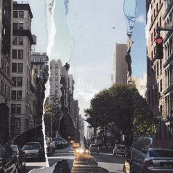 Cover of Old Growth