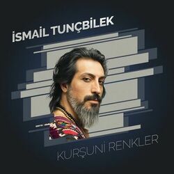 Cover of Kurşuni Renkler