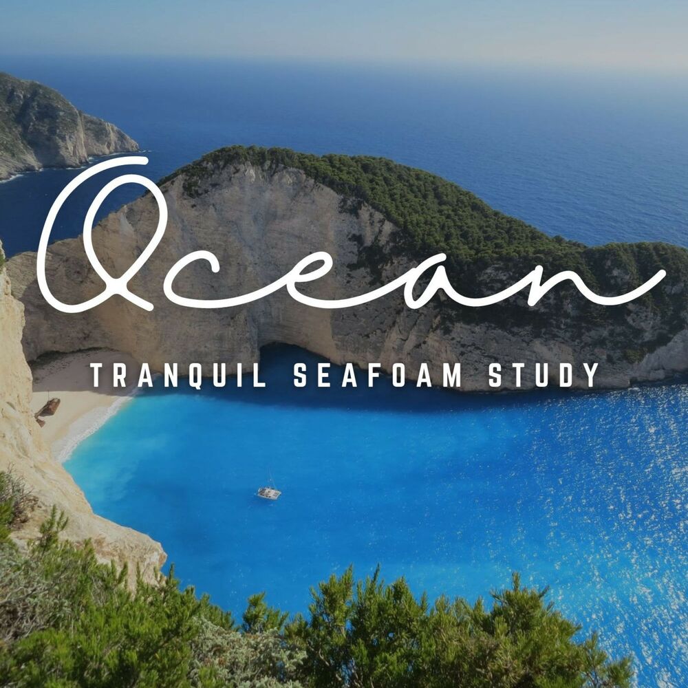 Picture of Tidal Tranquility: Ambient Ocean Study