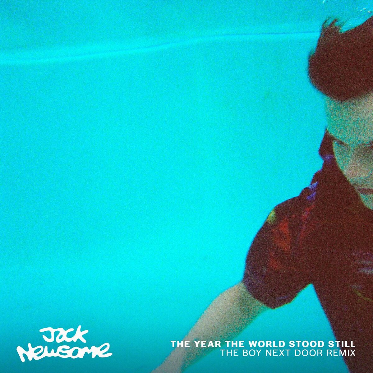 Album cover of The Year the World Stood Still - The Boy Next Door Remix