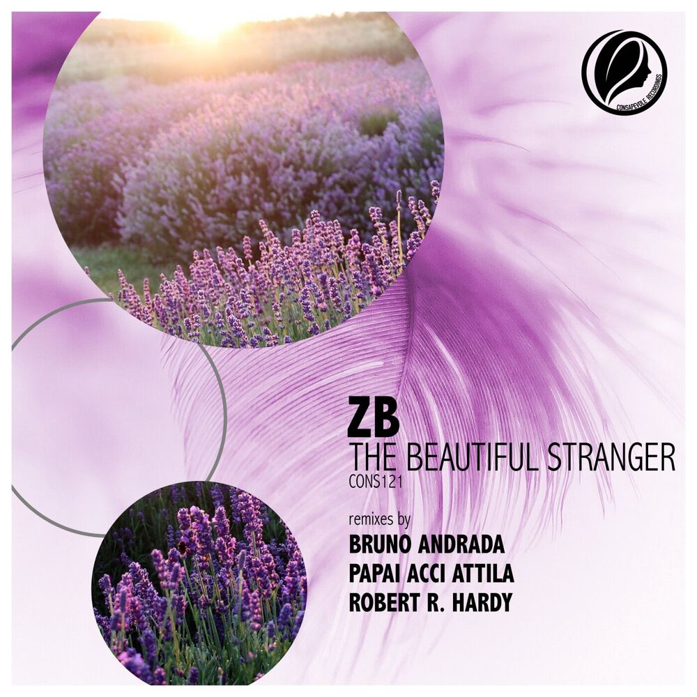 Picture of The Beautiful Stranger