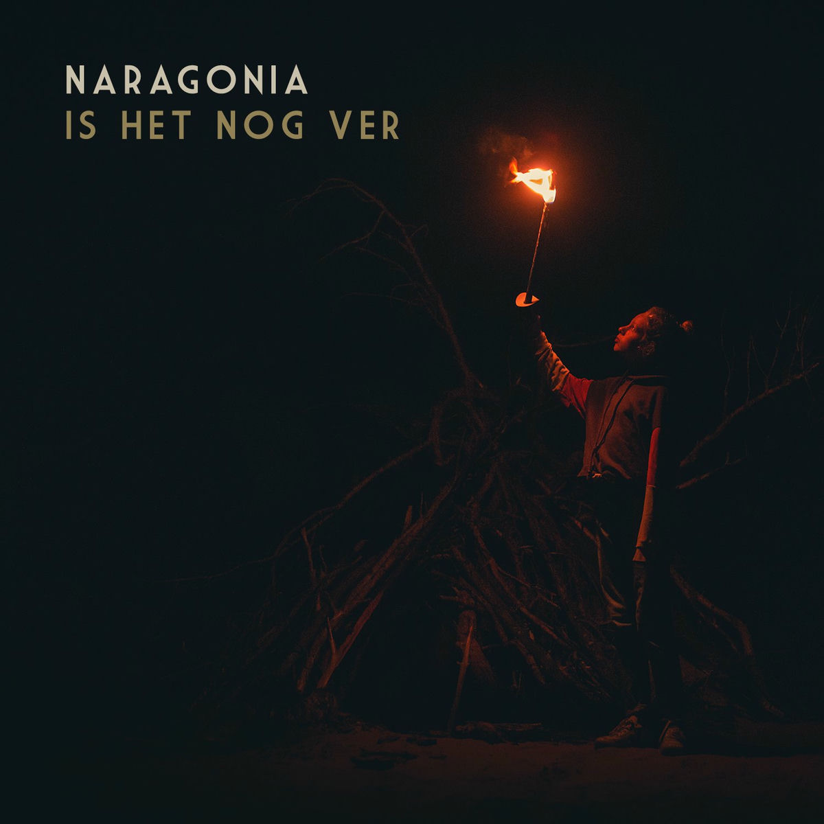 Album cover of Is Het Nog Ver