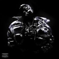 Cover of shadow