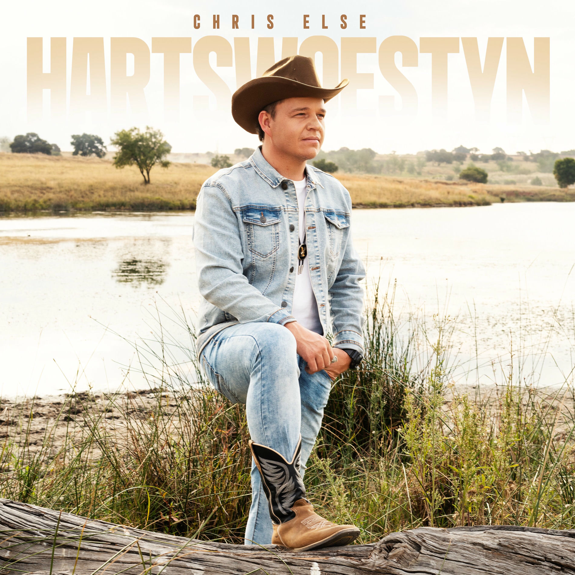 Album cover of Hartswoestyn