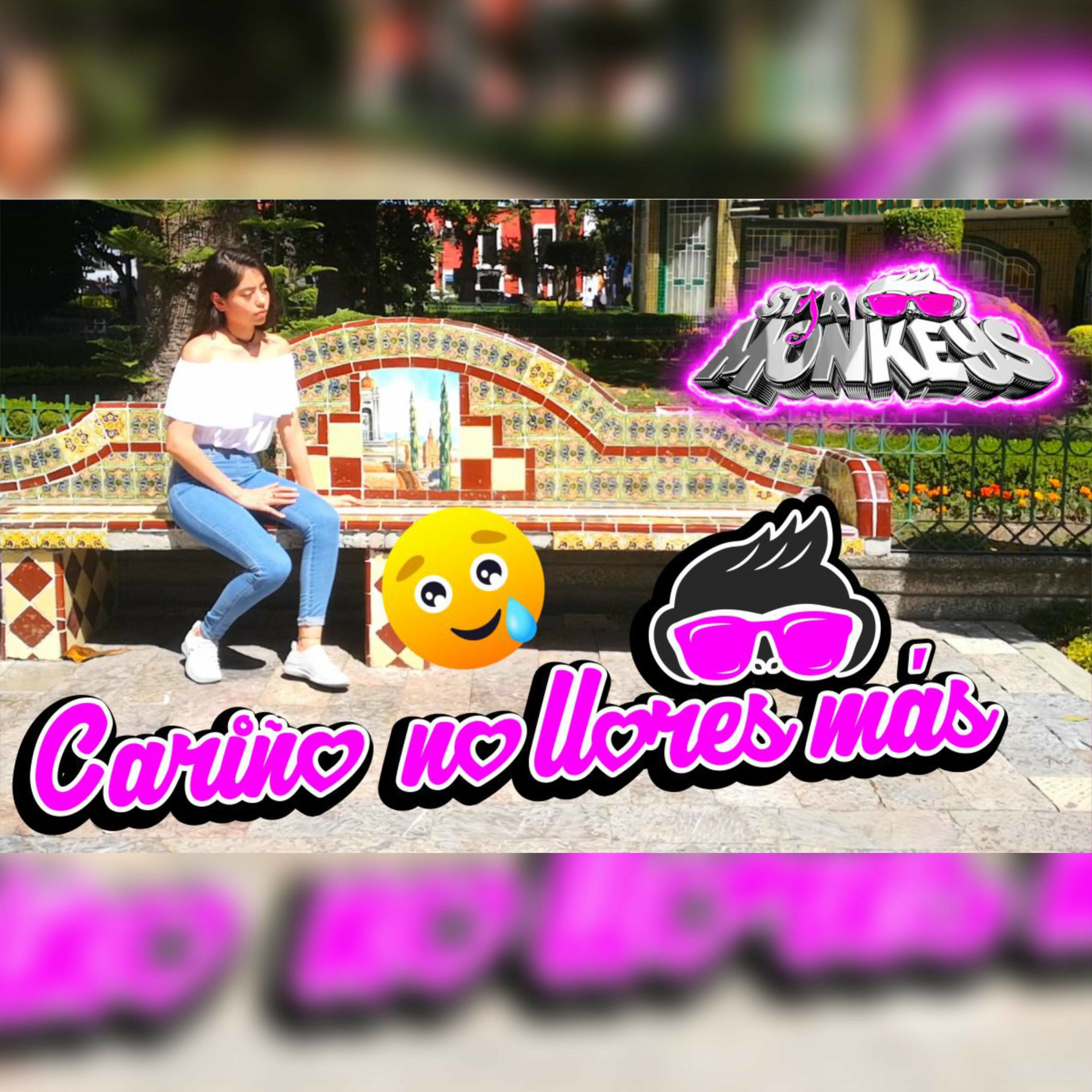Album cover of Cariño no llores mas