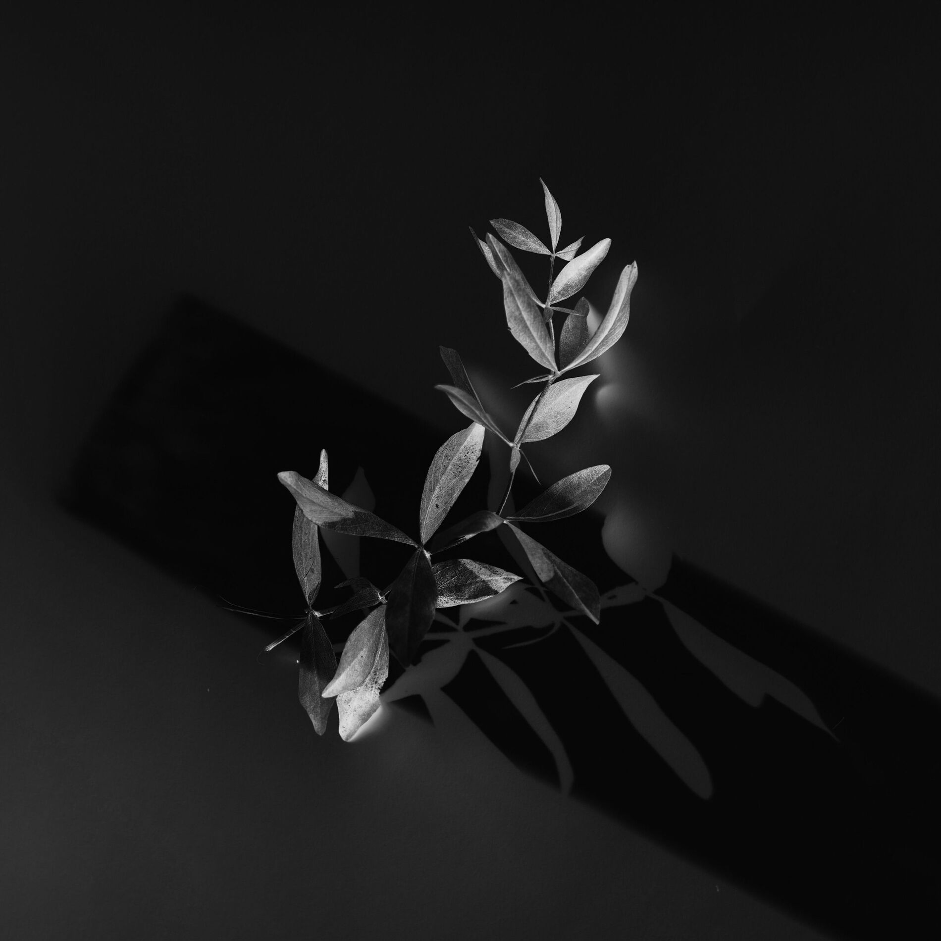Album cover of Truth