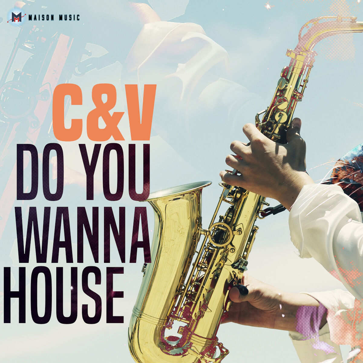 Album cover of Do You Wanna House