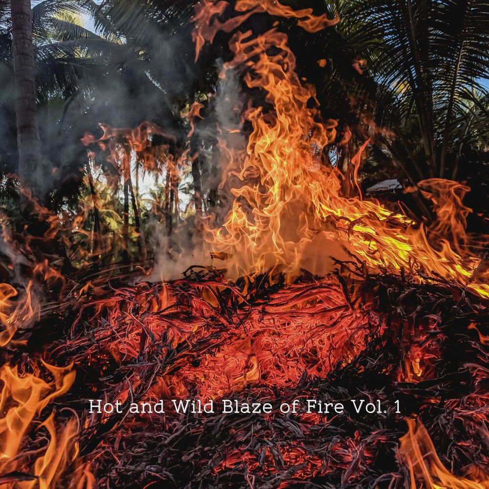 Picture of Hot and Wild Blaze of Fire Vol. 1