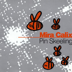 Cover of Pin Skeeling