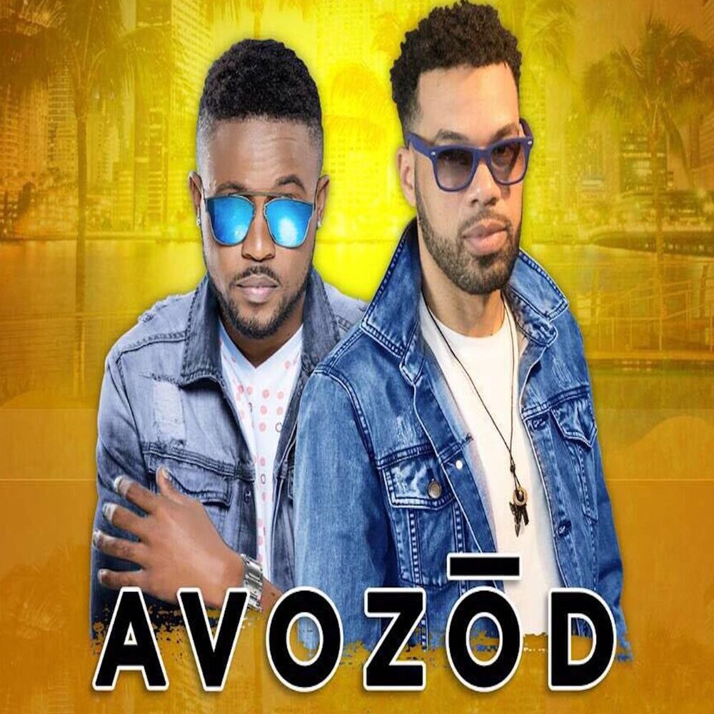 Picture of Avozod