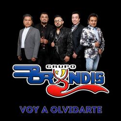 Cover of VOY A OLVIDARTE