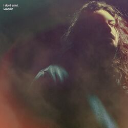 Cover of I Don't Exist