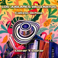 Cover of Llorar Y Llorar