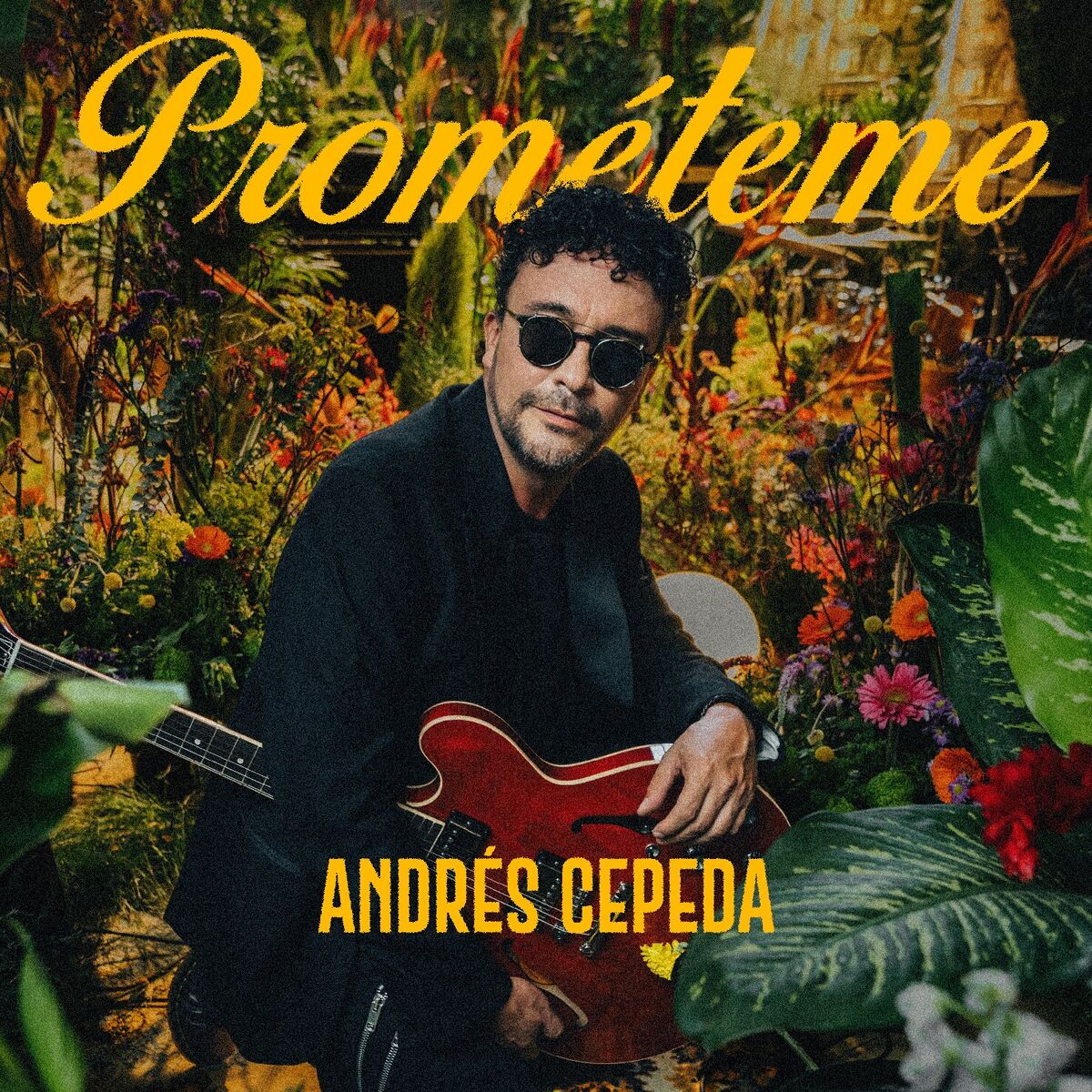 Album cover of Prométeme