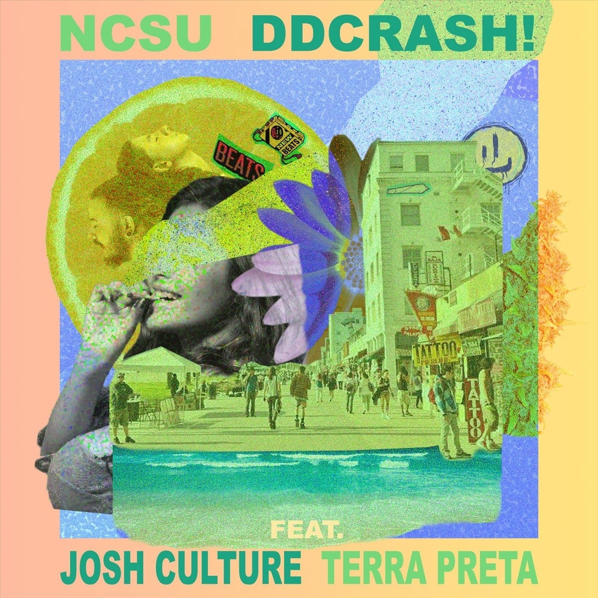 Album cover of N.C.S.U