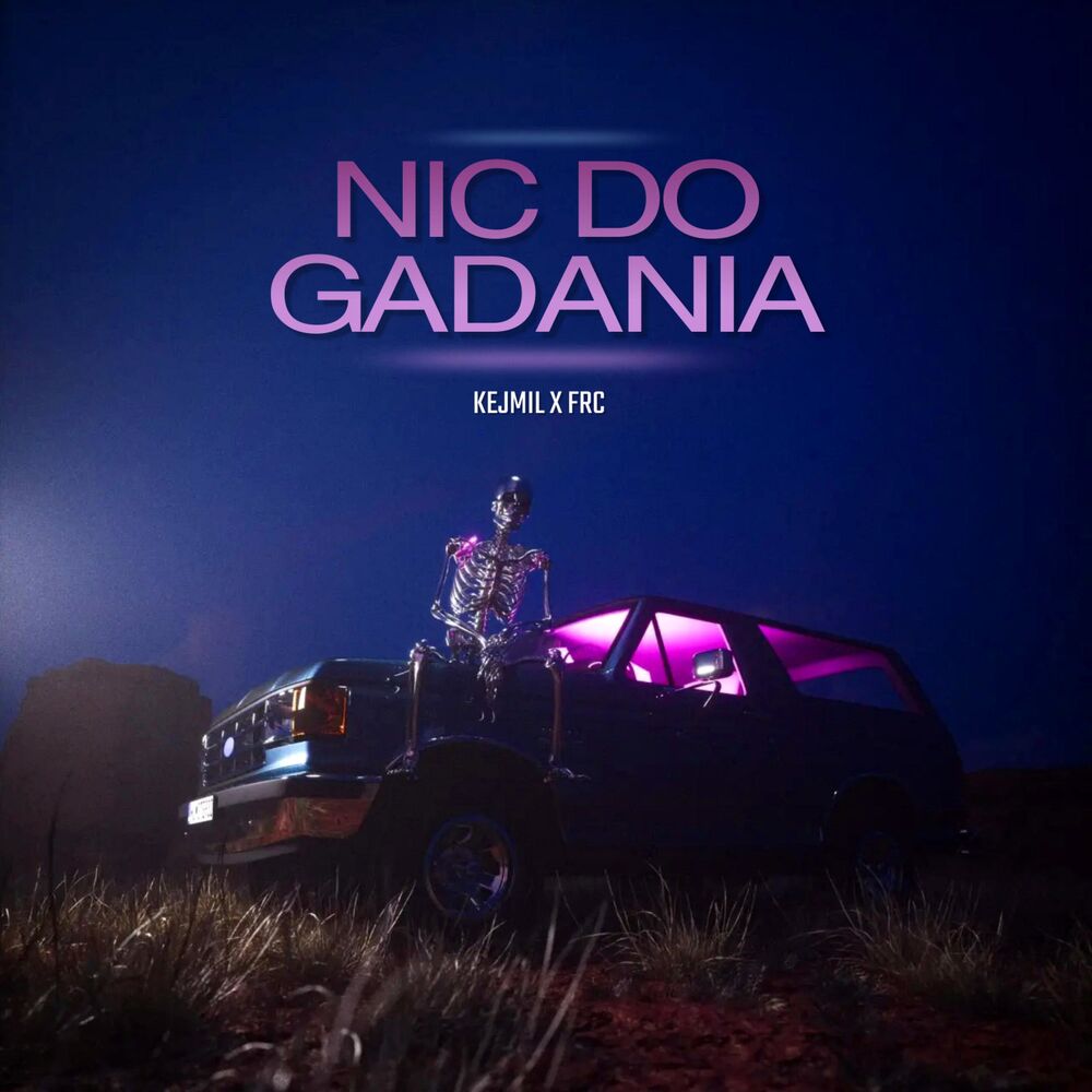 Picture of Nic do gadania (feat. frc)