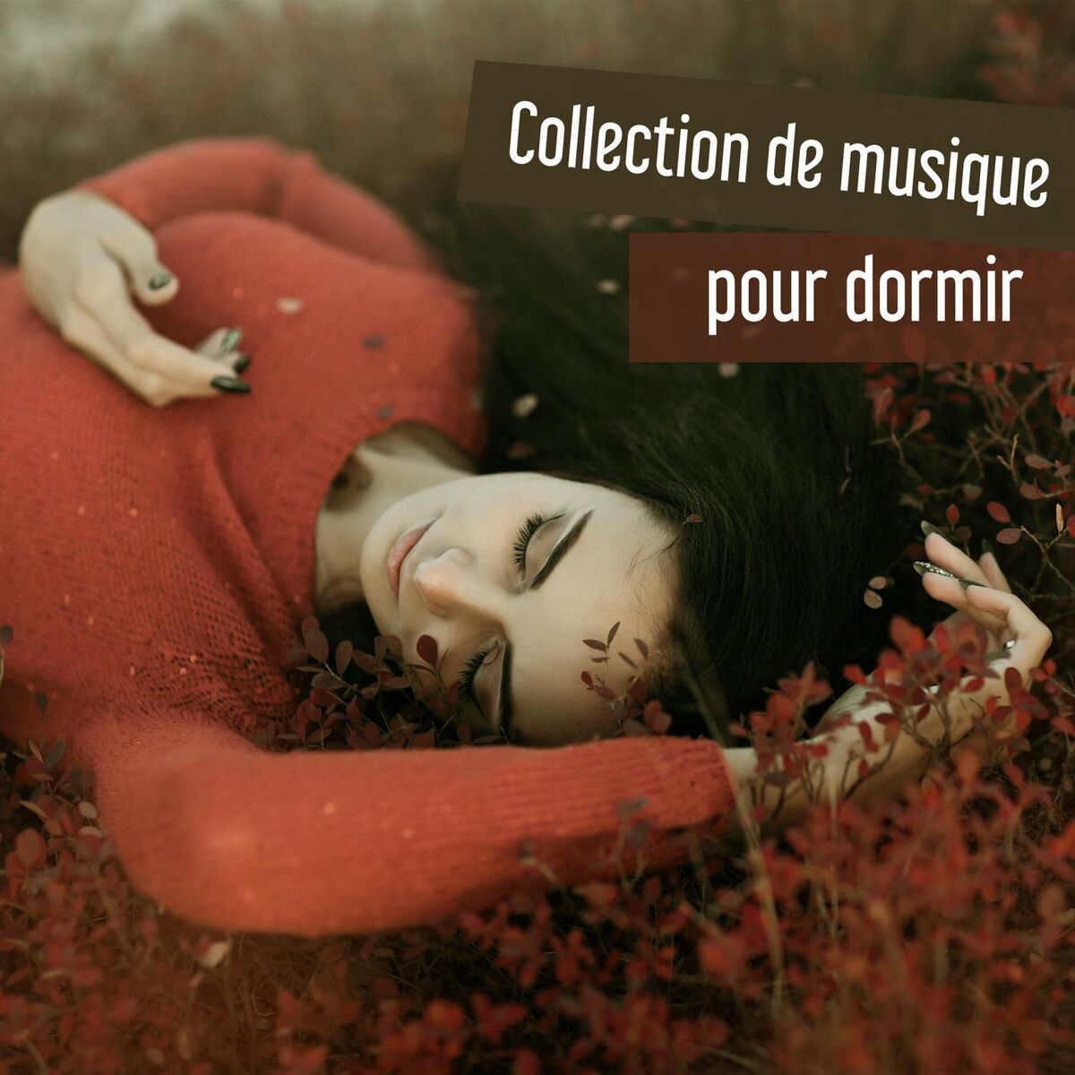 Album cover of Collection de musique pour dormir – Temps de dormir, Bien nuit, Dormez bien, Musique calme