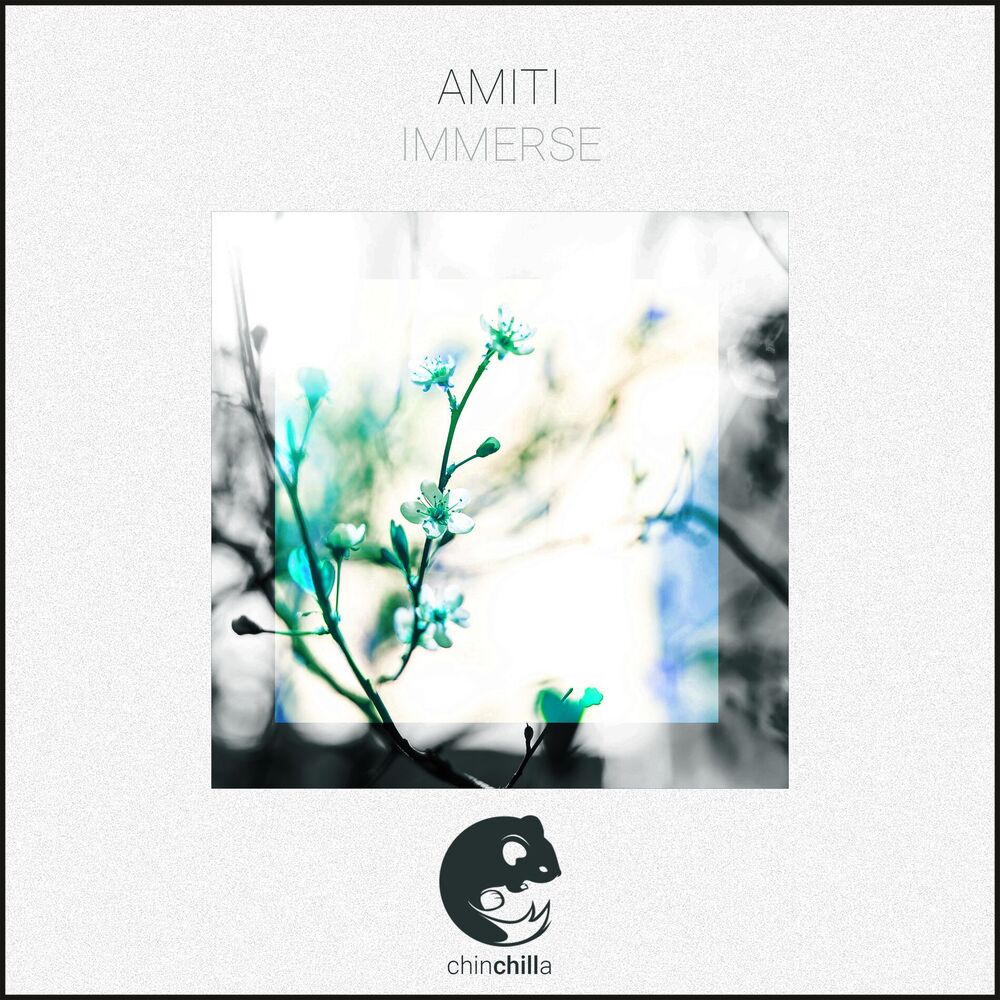 Picture of Immerse