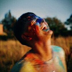 Cover of Full Colour