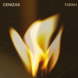 Cover of Cenizas