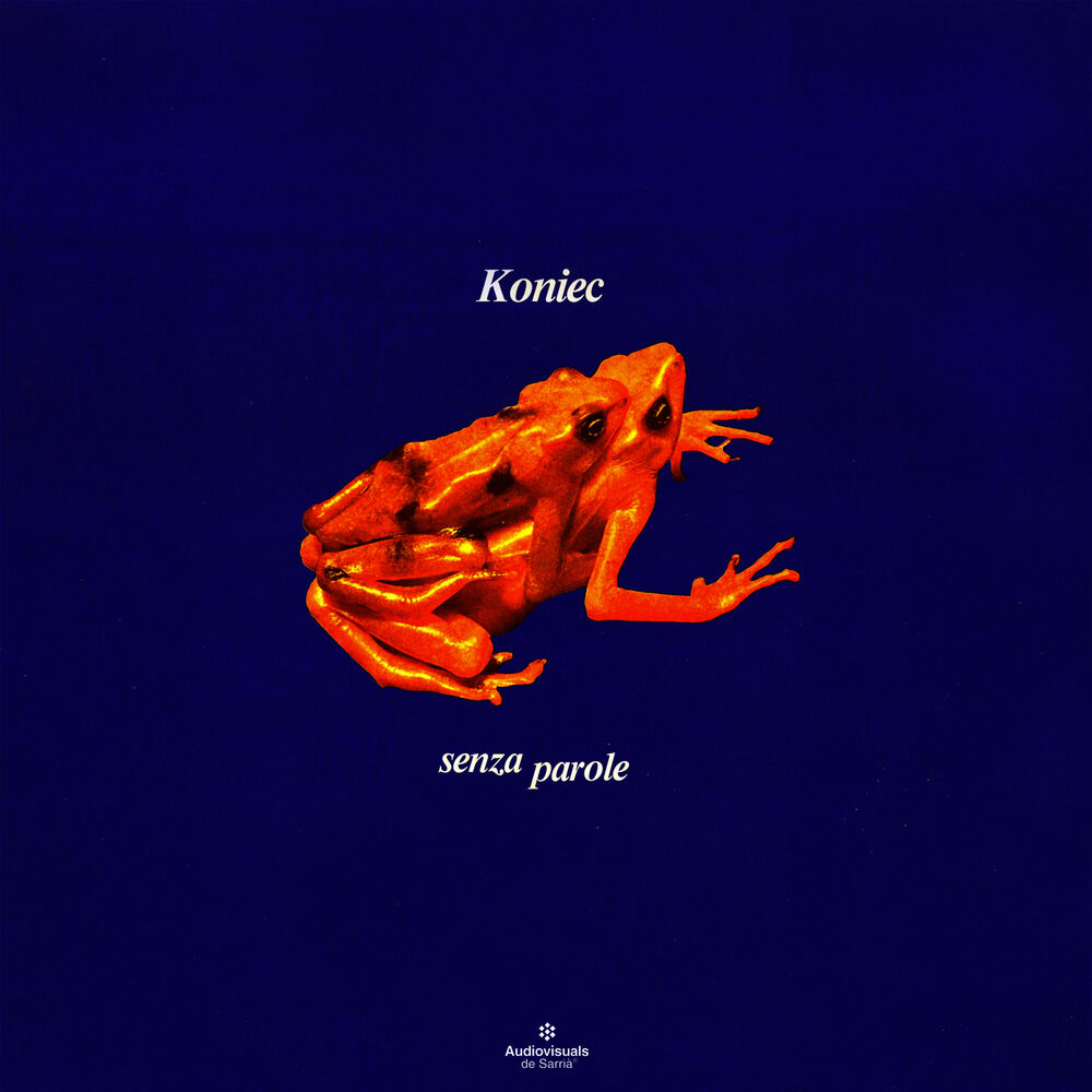 Picture of Senza Parole