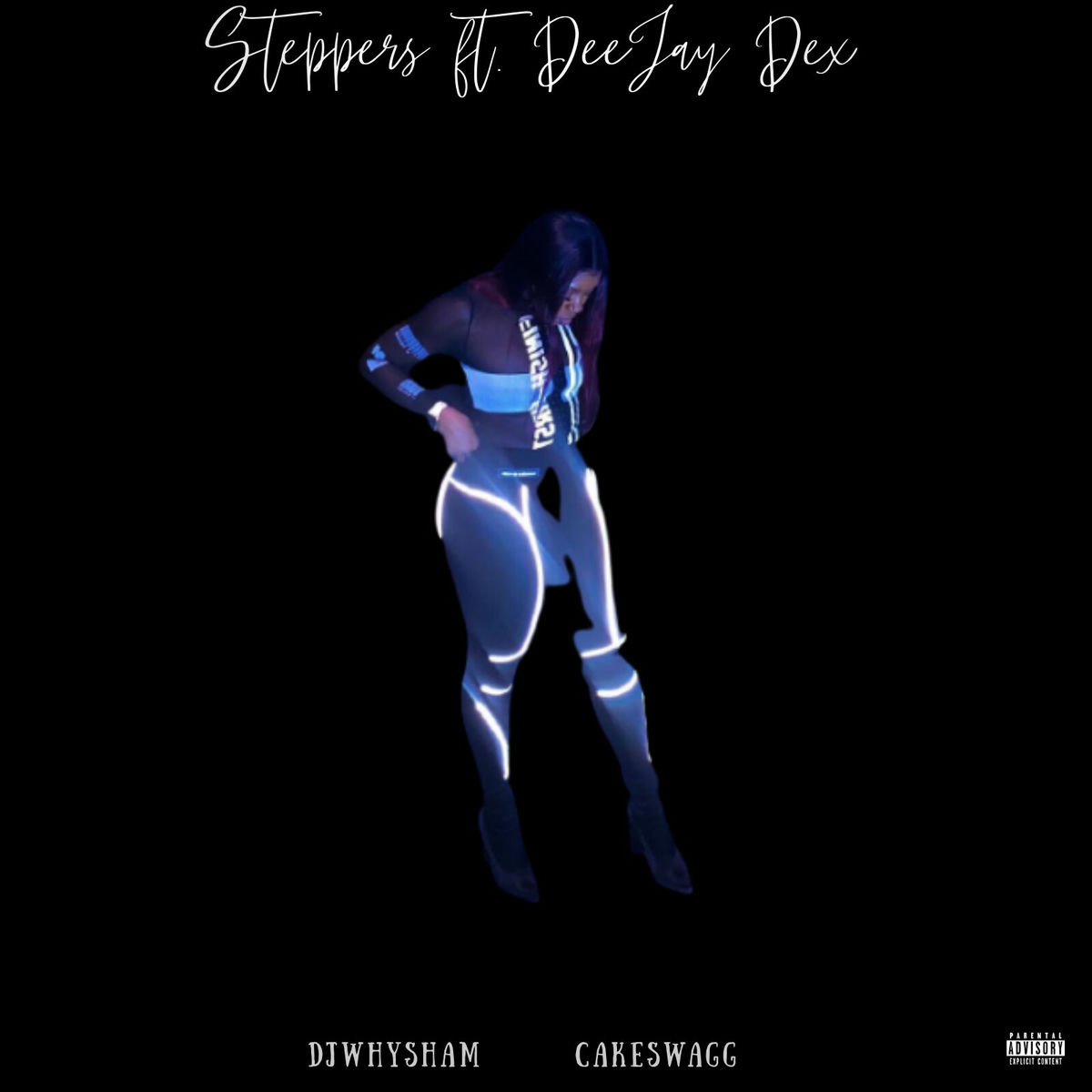 Album cover of Steppers