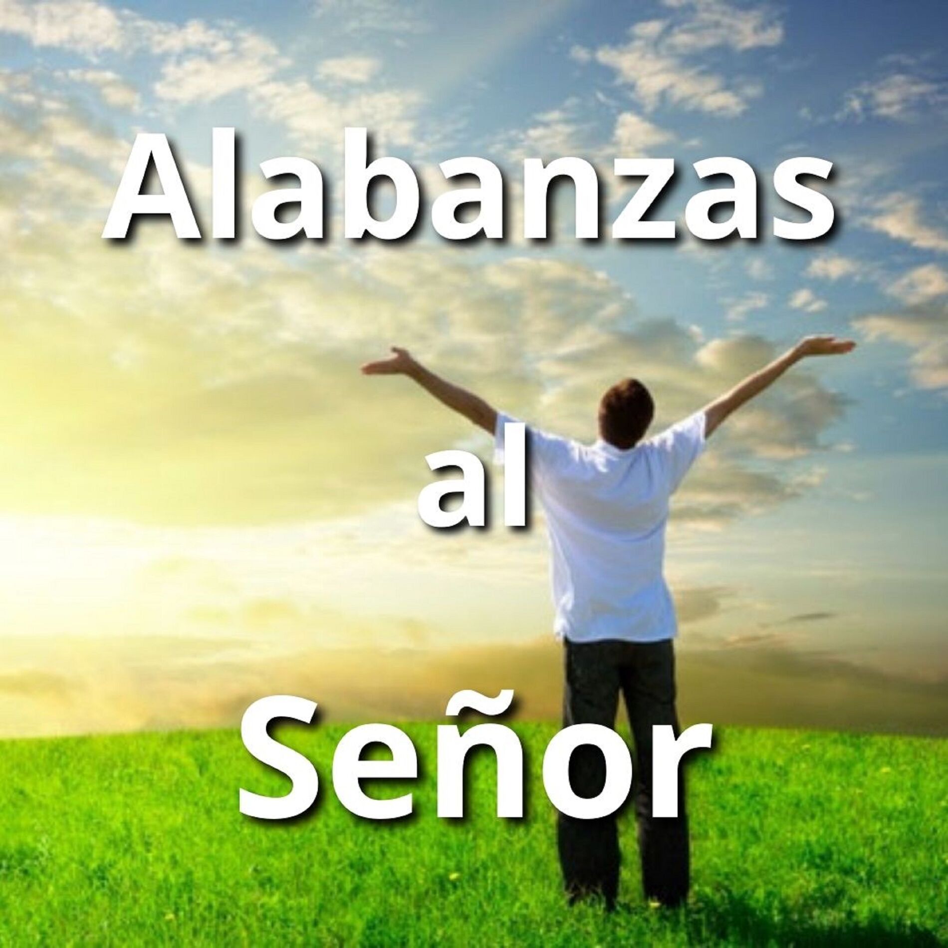 Album cover of Alabanzas al Señor