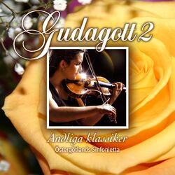 Cover of Gudagott 2