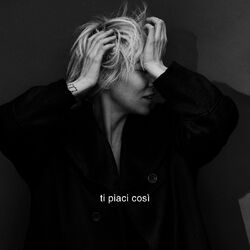 Cover of Ti piaci così