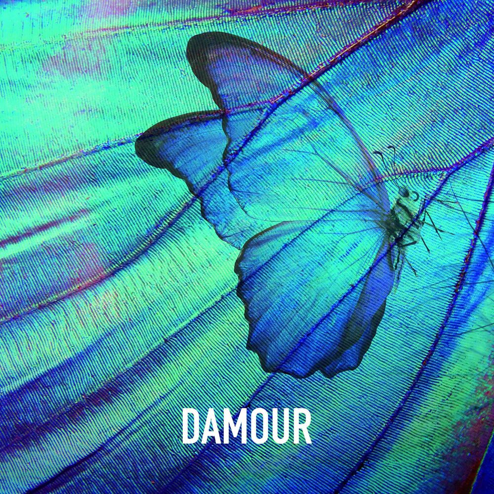 Picture of D' Amour