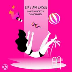 Cover of Like an Eagle