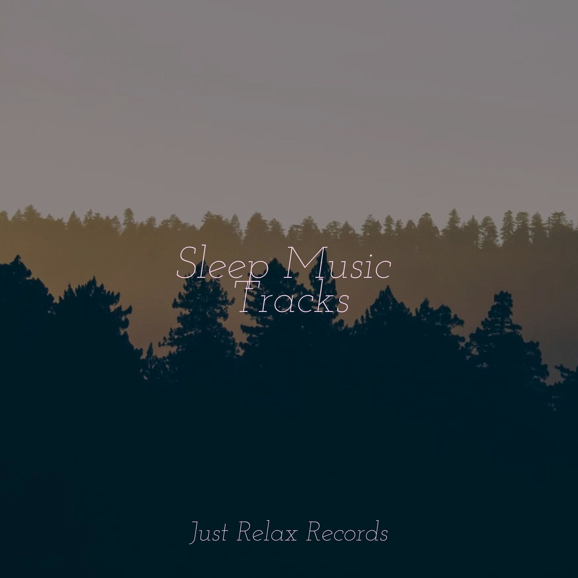 Album cover of Sleep Music Tracks