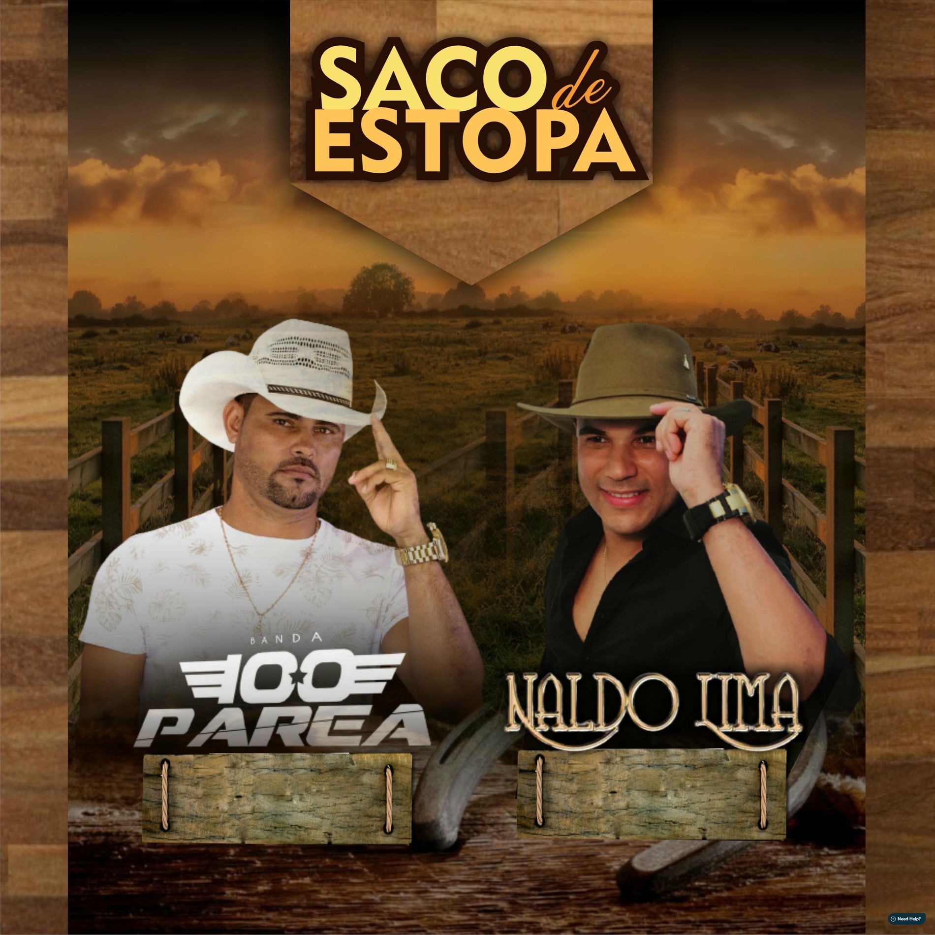 Album cover of Saco de Estopa (Ao Vivo)