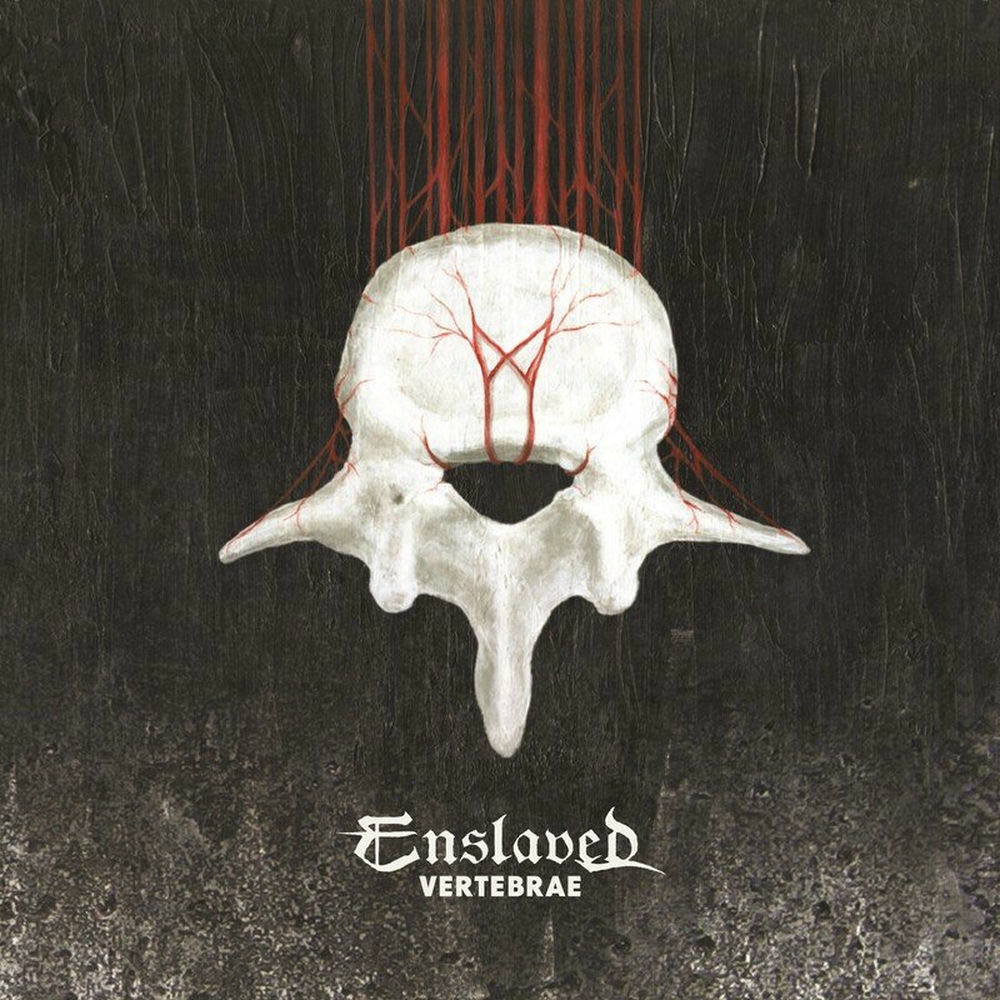 Vertebrae cover