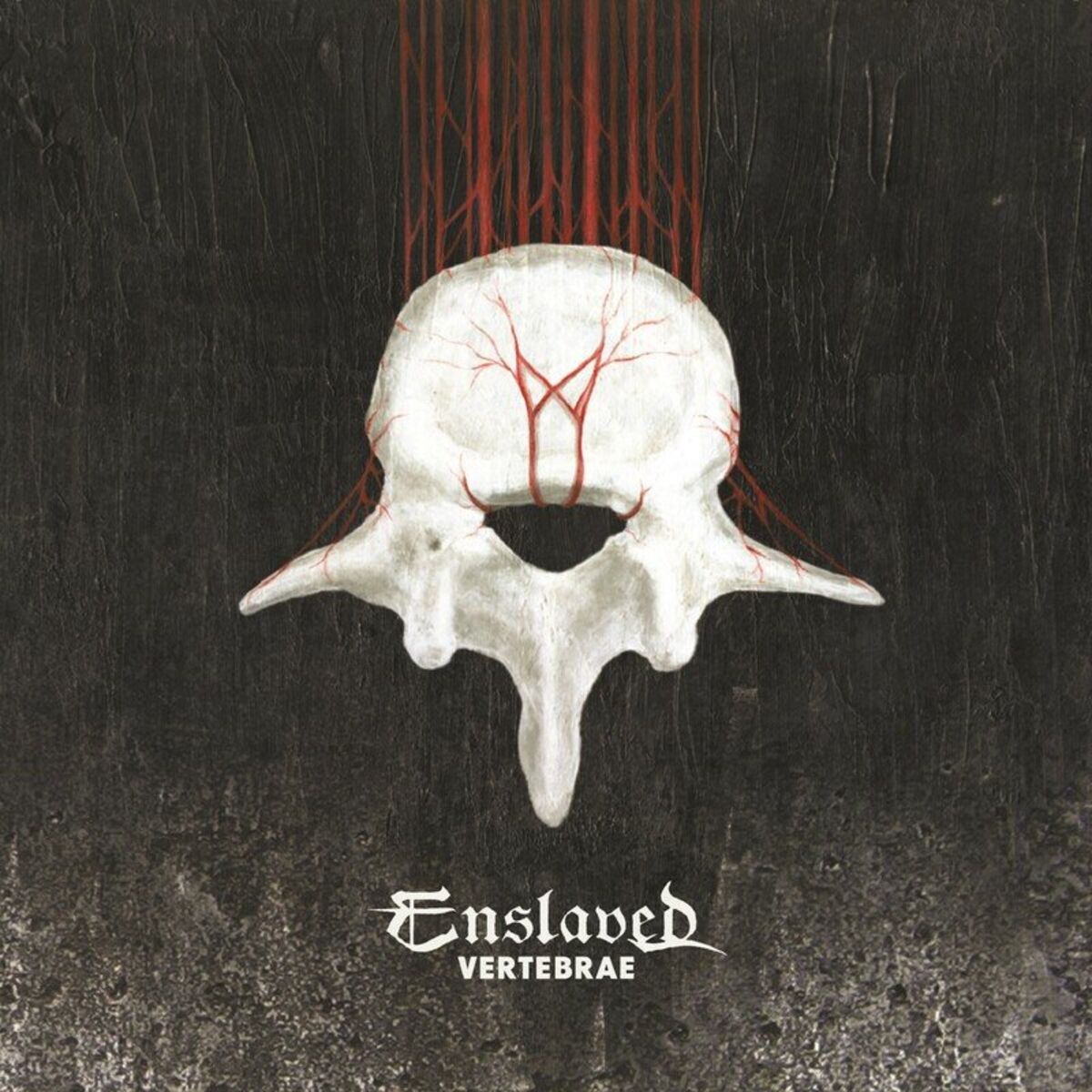 Album cover of Vertebrae