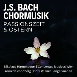 Cover of J. S. Bach: Chormusik zur Passionszeit & Ostern ; Matthäuspassion ; Johannespassion
