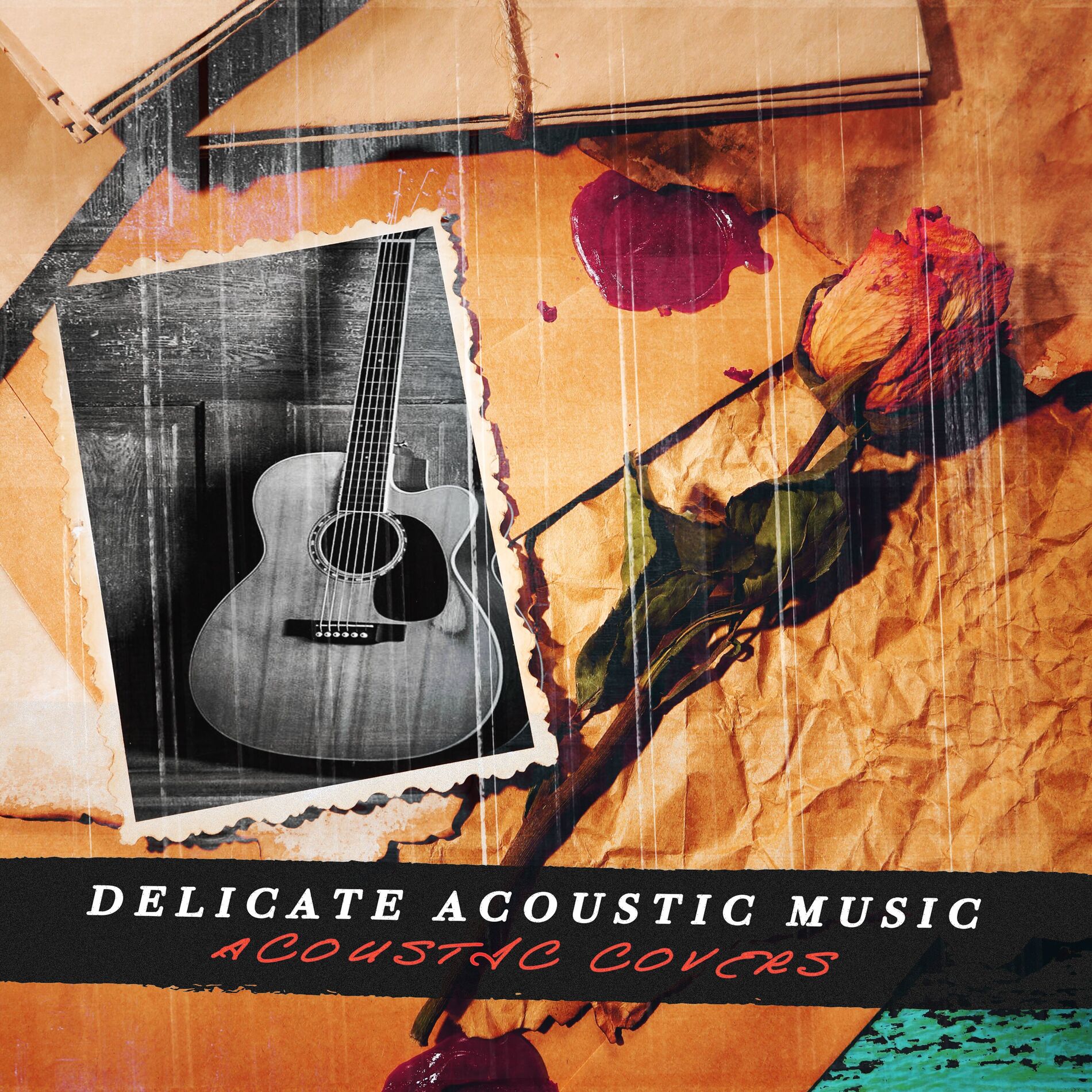 Album cover of Delicate Acoustic Music