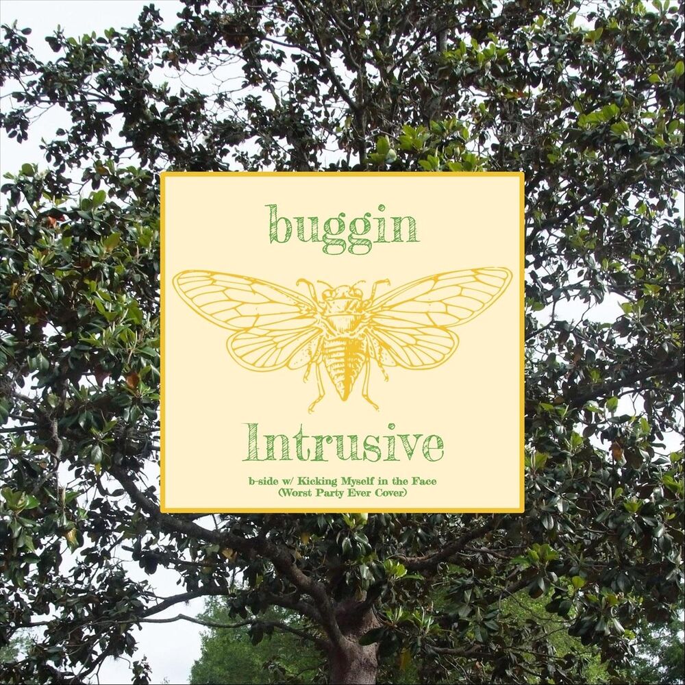 Picture of Intrusive