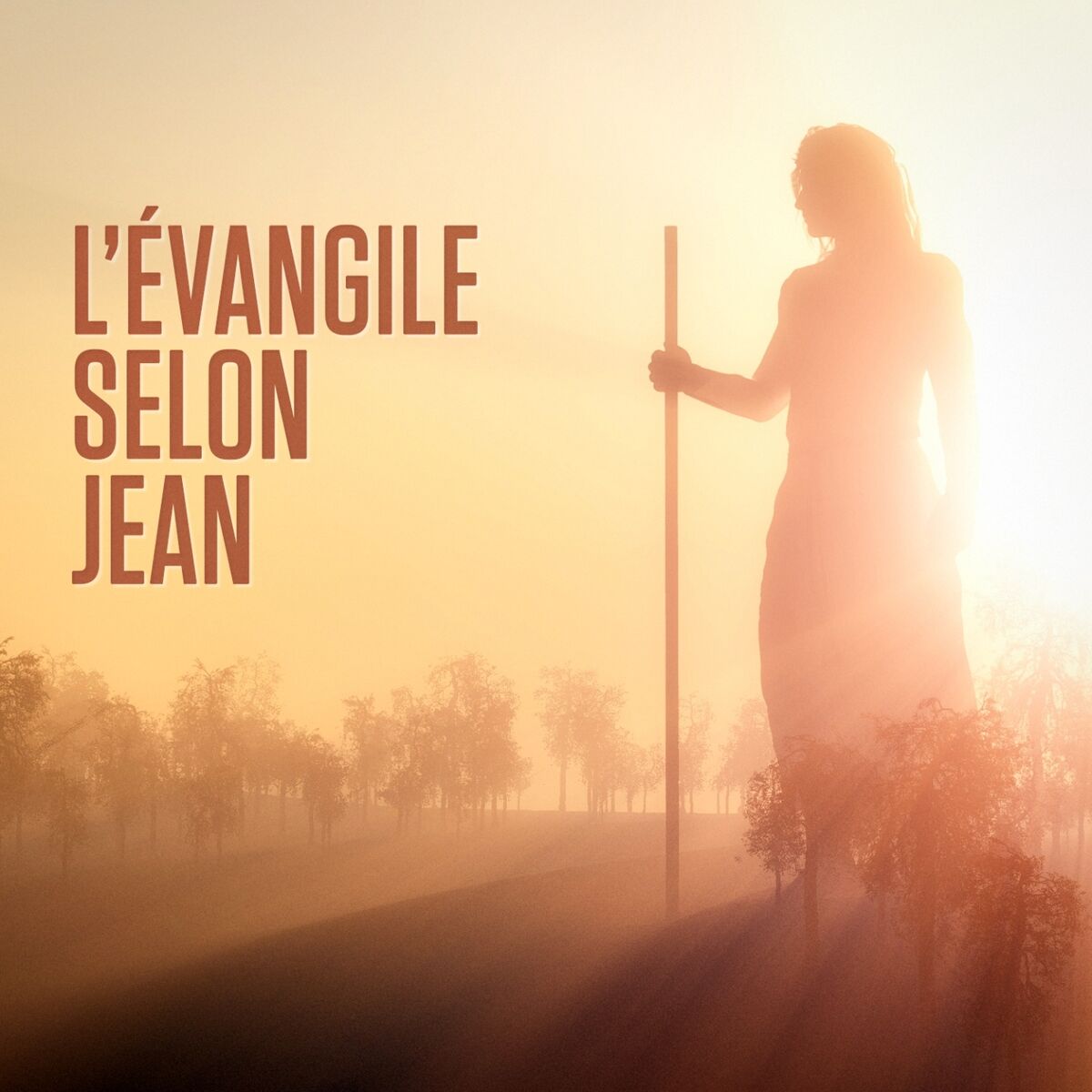 Album cover of L'évangile selon Jean : Le Nouveau Testament, 4ème partie