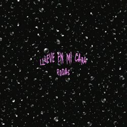 Cover of Llueve en mi cara