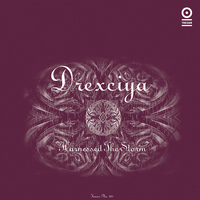 DREXCIYA 　Drexciya 4 Drexciya – Grava 4 – 2 x Vinyl (12